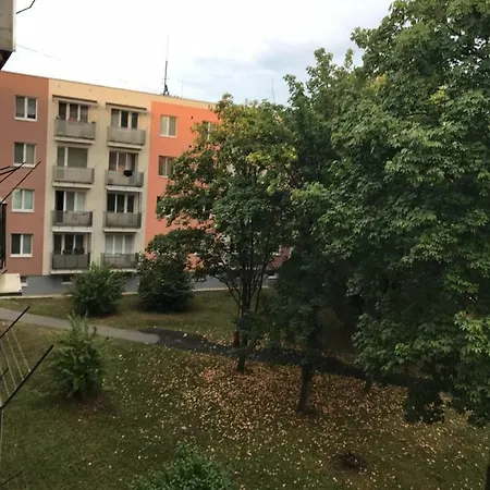 Kubo Vranov nad Toplou